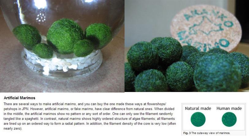 Giant Moss Balls, Artificial Decorative Moss Balls